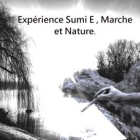 Expérience sumi e japonais et nature en foret de fontainebleau