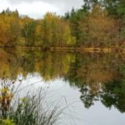 Aquarelle/carnet de voyage dans les 1000 étangs aux couleurs de l'automne