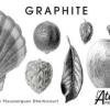 Illustration botanique au graphite
