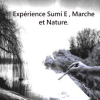 Expérience sumi E Japonais et nature en foret de Fontainebleau