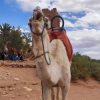 Stage  Carnet de voyage au Maroc