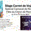 Stage Carnet de Voyage spécial Carnaval de Nice et Fête du Citron de Menton