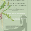 Yoga et Dessin plantes sauvages