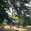 Stage de peinture en plein air et histoire de l'art, à la lumière de Manessier