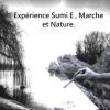 Séjour « Encre , gestes et nature »  Les voix de l'encre .