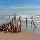 hébergement en Camargue