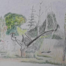 vue du jardin, pastel gras d'après nature, atelier adulte