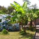 Atelier et jardin