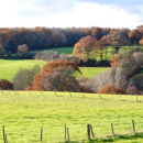 vue depuis l'arrière de la maison