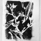 Monotype