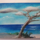 Stage l'art du paysage aux pastels secs