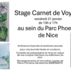 Stage carnet de voyage au parc phoenix de nice