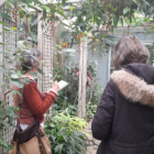 Dessin botanique aux serres d'auteuil