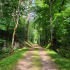 Les samedis aux essarts : peindre les arbres