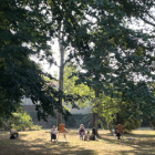 Stage de peinture en plein air et histoire de l'art, à la lumière de manessier