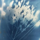 Stage cyanotype