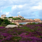 Stage de carnet de voyage dans les côtes de granit rose en bretagne