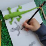 Froggy Art