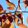 Cours particuliers de photographie en atelier et en itinérance.