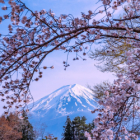 Le mont fuji à l'aquarelle
