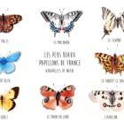 Les papillons à l'aquarelle
