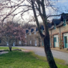Croquis nomades Ria d'Etel / dessins peintures au parc de Keravéon et à l'atelier de Kernaud