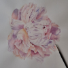 Botanique , jardins et paysages - Aquarelle et dessin - Forfait 5h sur 2 séances