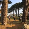 Métamorphoses et évolutions avec l'art et le Qigong