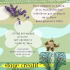 Métamorphoses florales