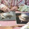 Stage Pastel sec Art animalier