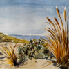 Stage aquarelle