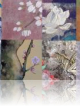 Découverte de la peinture 