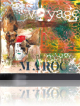 Stage  carnet de voyage au maroc. du 05 au 12 D&eacute;cembre 2026 L'atelier d' ilda Tanger (Maroc).