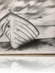 Dessin, fusain, pastel. L'Ecurie atelier créatif & artistique Montbonnot st martin (Isère).