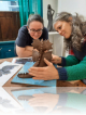 Cours hebdomadaire le lundi de 10h - 12h30. Véronique Rougy Sculpteur Essaouira (Maroc).