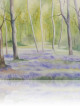 Cours d'aquarelle à quiéry-la-motte – débutants, intermédiaires et avancés. Masclet Clermont pouyguilles (Gers).